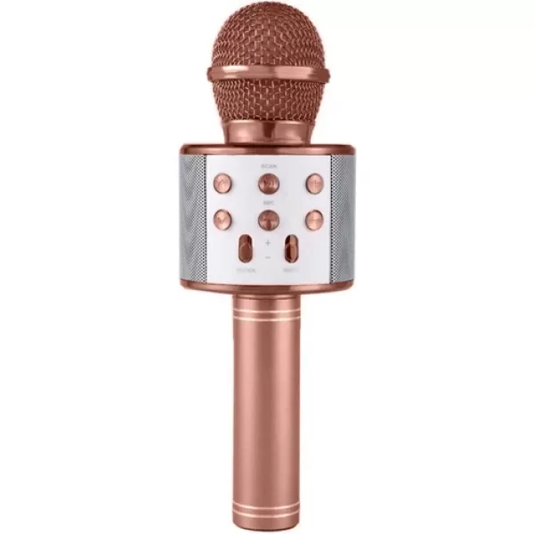 Pazariz Rose Gold Karaoke
