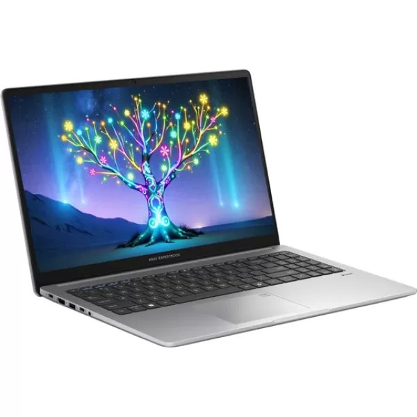 Asus ExpertBook P1 P1503CVA-I58512S0D i5-13500H 8GB 512SSD 15.6" FHD FreeDOS Dizüstü Bilgisayar