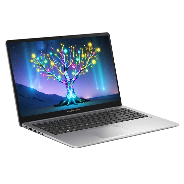 Asus ExpertBook P1 P1503CVA-I58512S0D i5-13500H 8GB 512SSD 15.6" FHD FreeDOS Dizüstü Bilgisayar