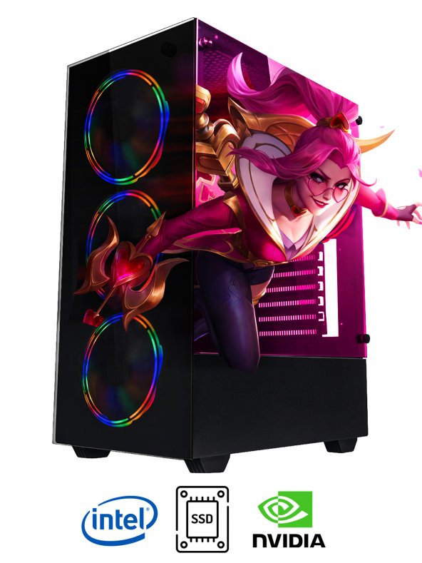 Ramtech DG182 İ7-870 16GB RAM 256GB SSD GT 740-4GB Oyuncu PC