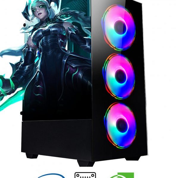 Ramtech DG270 İ5-10400F 16GB RAM 256GB SSD GTX/750Tİ  Oyuncu Bilgisayar