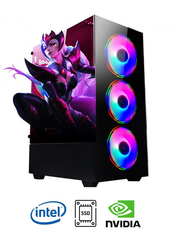 Ramtech DG307 İ7-860 16GB RAM 256GB SSD GT-740 Oyuncu Masaüstü Bilgisayar