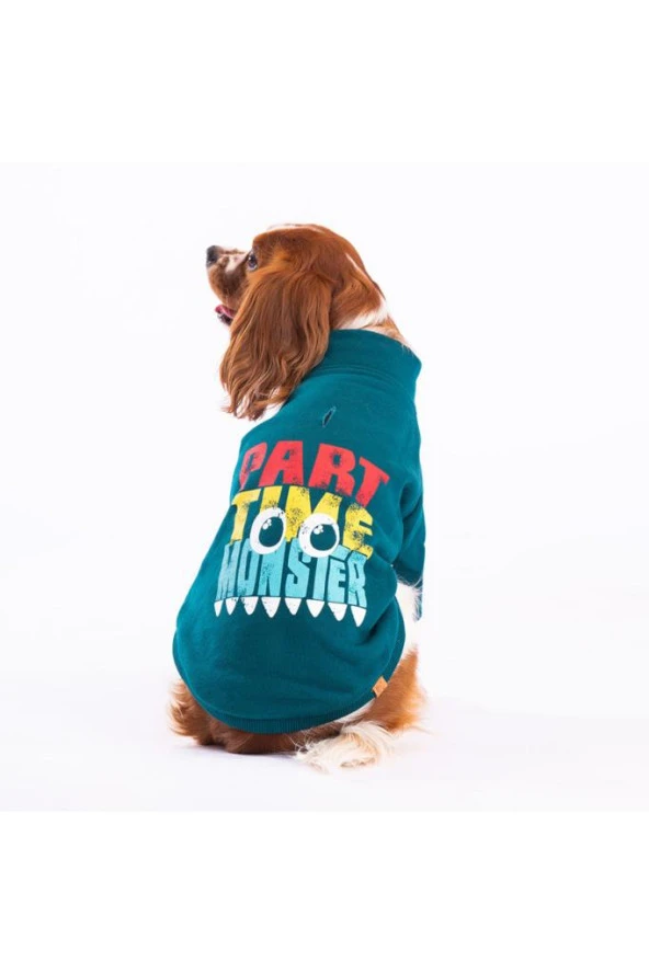 Pawstar Köpek Green Monster Jacket XLarge Sırt38cm Göğüs55cm Boyun34cm